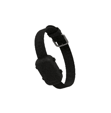 YJED Collar