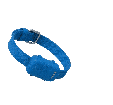 YJED Collar