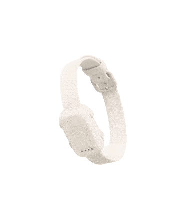 YJED Collar
