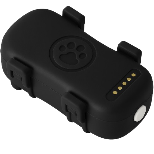 YJED Black Device