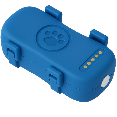 YJED Blue Device