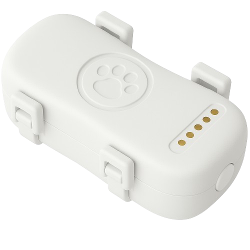 YJED White Device
